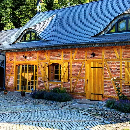 Violin House * Strzelinko