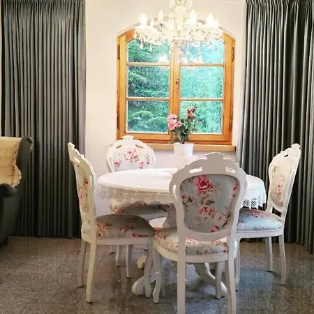 Violin House * Strzelinko