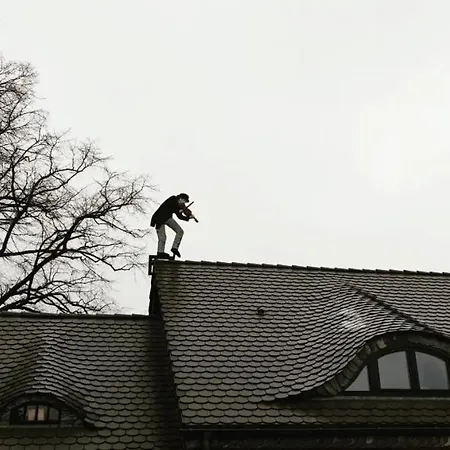 Violin House *