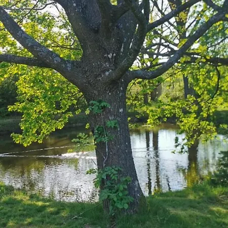 Violin House Prázdninový dům