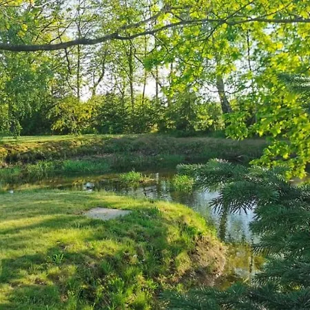Prázdninový dům Violin House Strzelinko