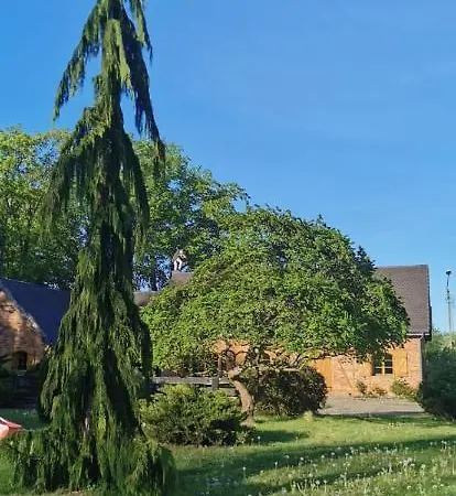 Violin House * Strzelinko