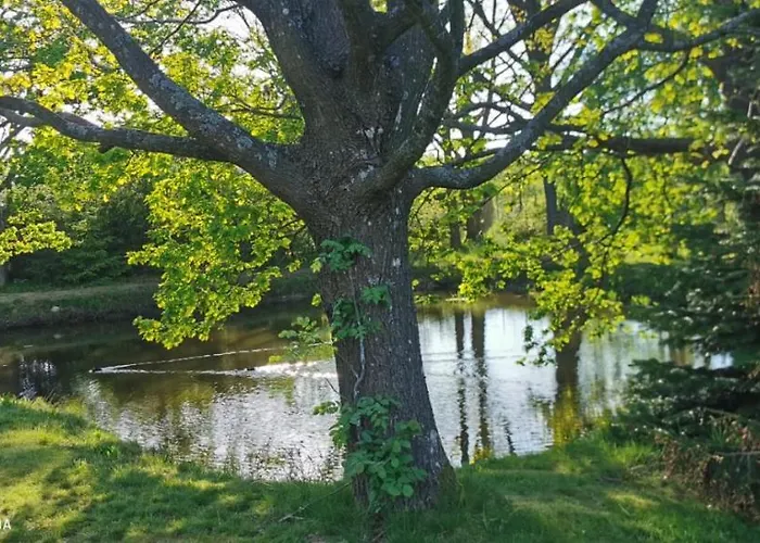 Violin House Dom wakacyjny