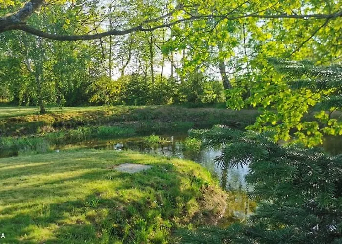 Dom wakacyjny Violin House Strzelinko