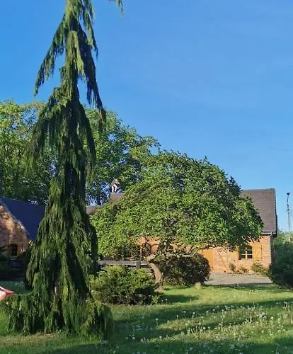 Violin House * Strzelinko